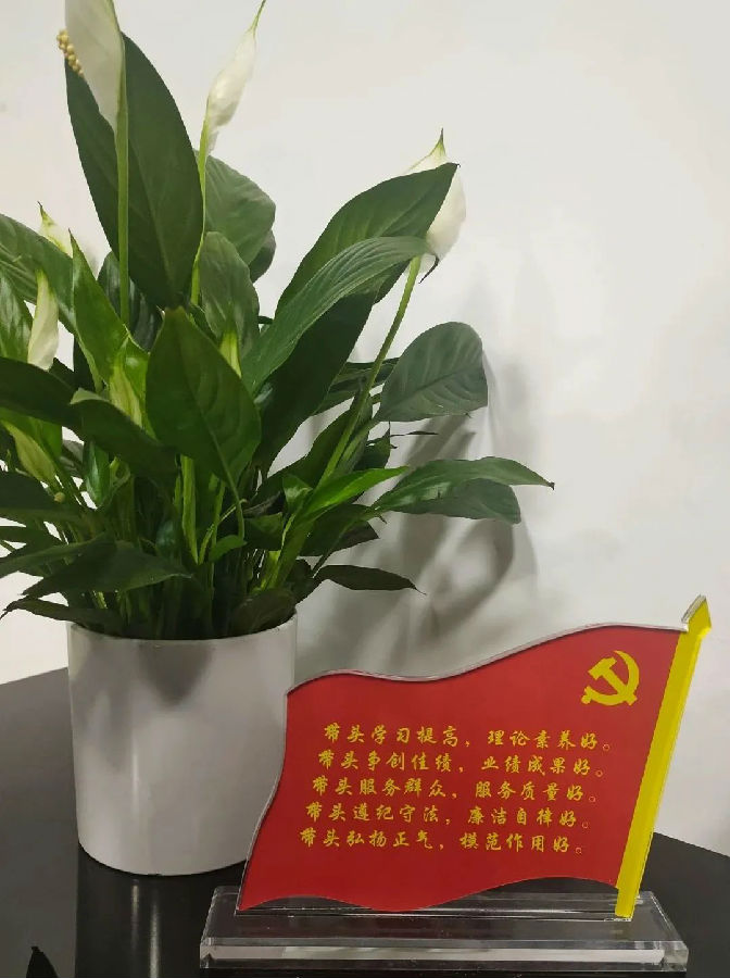 DƬ